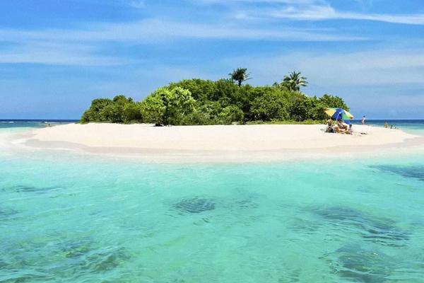 屬狗的今年多大(2018年) 屬狗今年運勢如何(財運、姻緣)