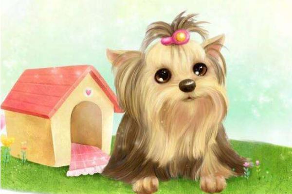 1958、1970、1982、1994、2006、2014年屬狗的分別是什么命 屬狗的人2018年整體運(yùn)程