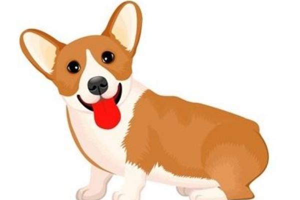 屬狗的本命佛是什么 屬狗吉祥物是什么 屬狗帶什么好