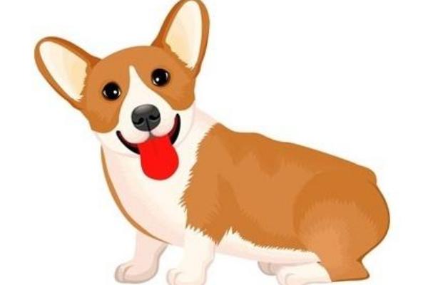 屬狗的是什么性格 屬狗的幸運數字是多少