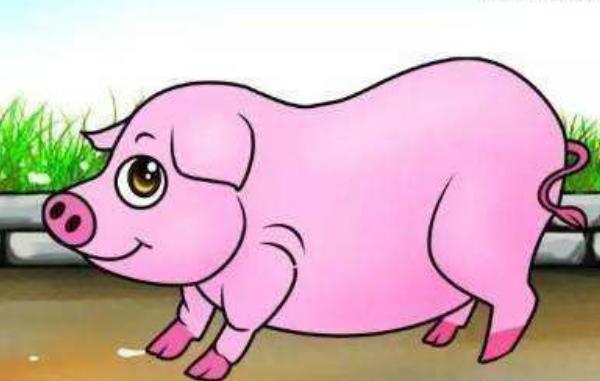 屬豬的和什么屬相最配(男、女) 屬豬的幾月出生最好