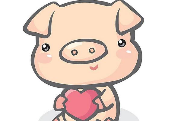 屬豬的今年多大（2018年） 屬豬今年運勢如何（財運、姻緣）