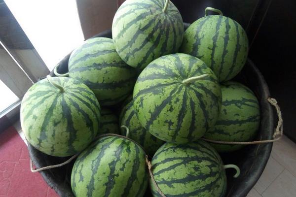 麒麟瓜市場價格多少錢一斤 麒麟瓜的營養價值