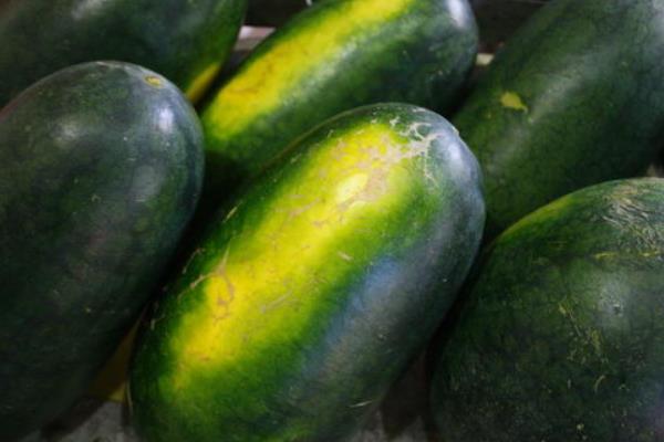 黑美人西瓜和麒麟西瓜的區別是什么 黑美人西瓜和麒麟西瓜哪個好吃