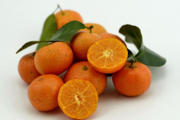 砂糖桔是什么季節的水果 砂糖桔幾月熟（上市）