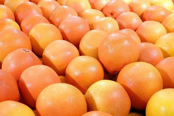 葡萄柚是西柚嗎 葡萄柚和西柚的區別是什么