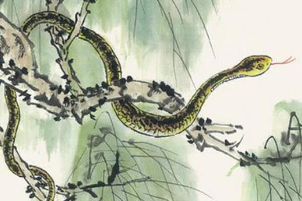 屬猴的和什么屬相最配（男、女） 屬猴的幾月出生最好