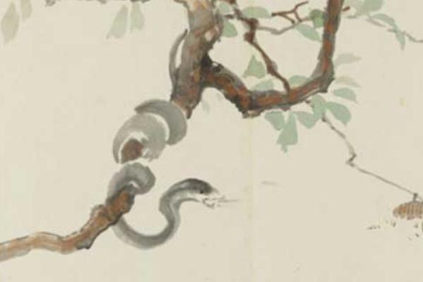 屬猴的和什么屬相最配（男、女） 屬猴的幾月出生最好