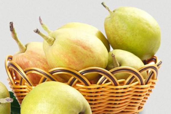 洋梨功效與作用及禁忌 洋梨怎么挑選