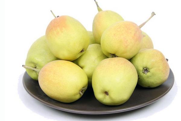 洋梨功效與作用及禁忌 洋梨怎么挑選