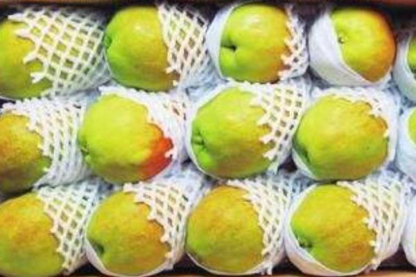 洋梨功效與作用及禁忌 洋梨怎么挑選