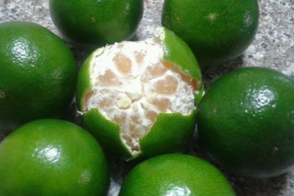 橘子什么時候成熟 橘子是什么季節(jié)的水果