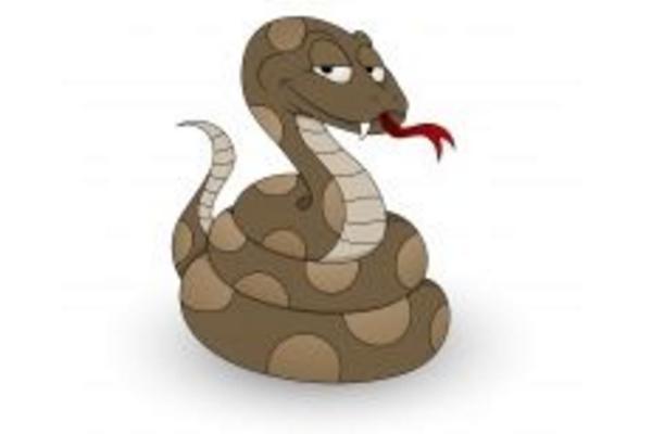 屬蛇的是什么性格 屬蛇的幸運(yùn)數(shù)字是多少