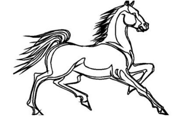 1954、1966、1978、1990、2002、2014年屬馬的分別是什么命 不同年份屬馬人的出生命運