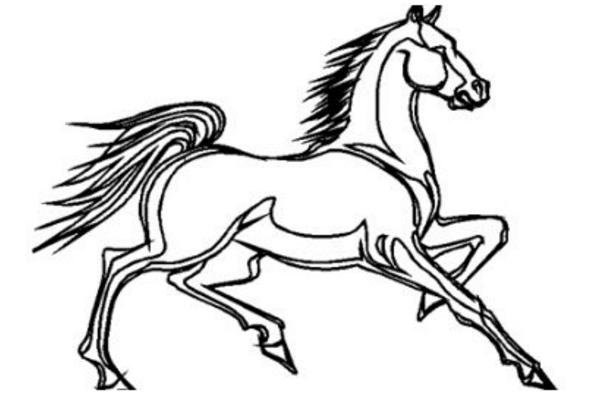 屬馬的和什么屬相最配（男、女） 屬馬的幾月出生最好