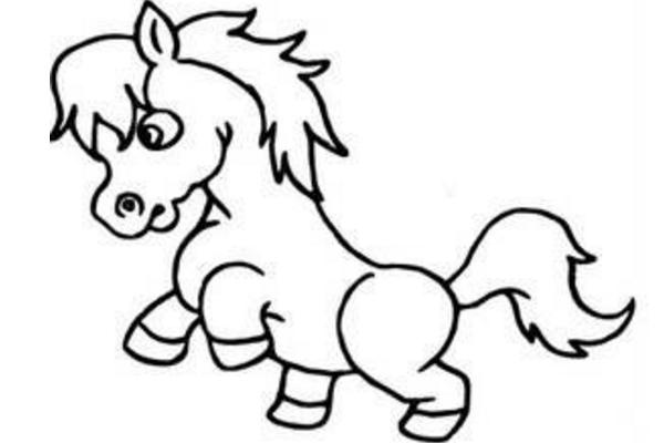 屬馬的和什么屬相最配（男、女） 屬馬的幾月出生最好