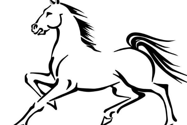 屬馬的和什么屬相最配（男、女） 屬馬的幾月出生最好