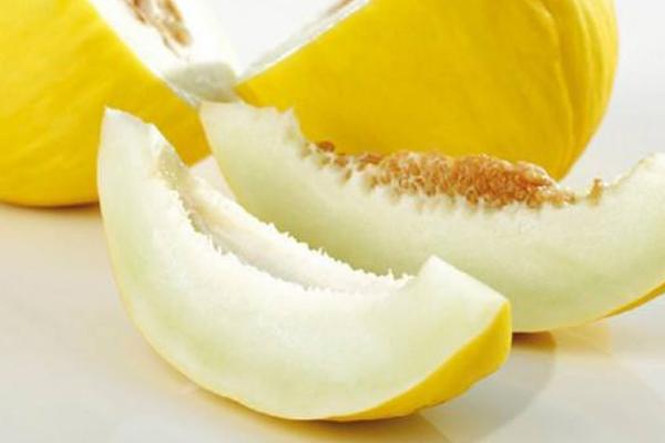 黃河蜜瓜市場價格多少錢一斤 黃河蜜瓜產地在哪里