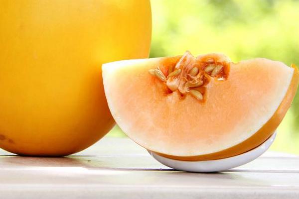 黃河蜜瓜市場價格多少錢一斤 黃河蜜瓜產地在哪里