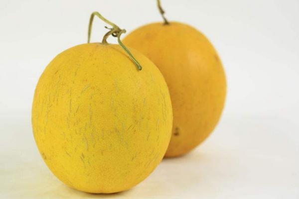 黃河蜜瓜怎么挑選 吃黃河蜜瓜上火嗎