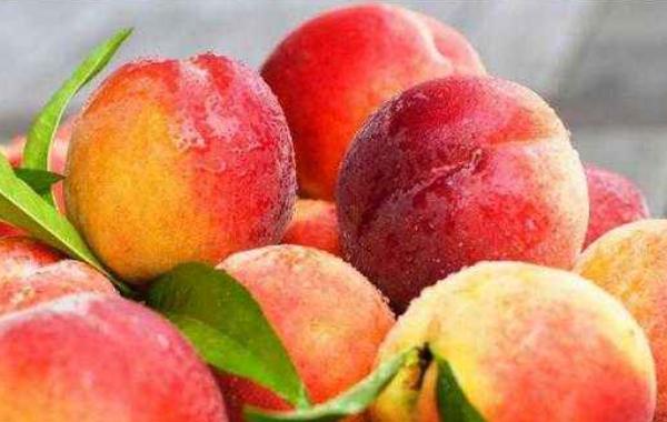 久保桃功效與作用及禁忌 久保桃營養價值