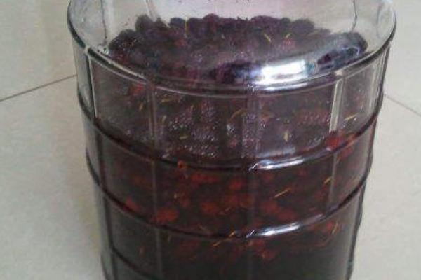 桑果酒對男人的功效 桑果酒怎么釀