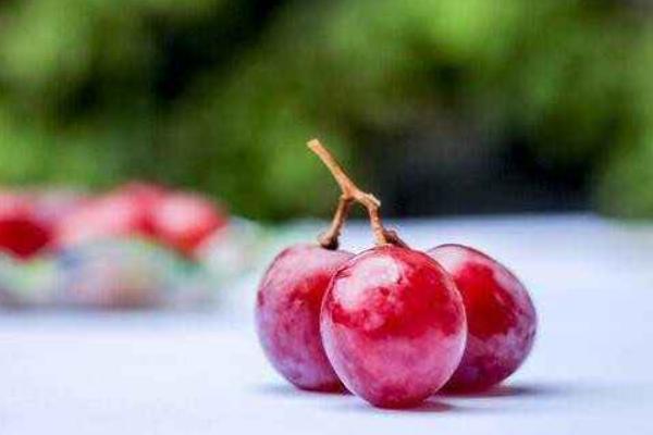 提子怎么吃 吃提子要剝皮嗎