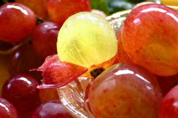 提子怎么吃 吃提子要剝皮嗎