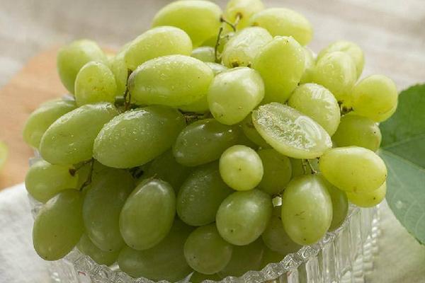 提子怎么吃 吃提子要剝皮嗎