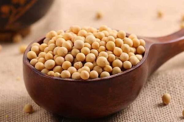 黃豆怎么吃 黃豆怎么煮