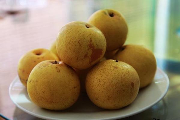 京白梨市場價格多少錢一斤 京白梨產(chǎn)地在哪里