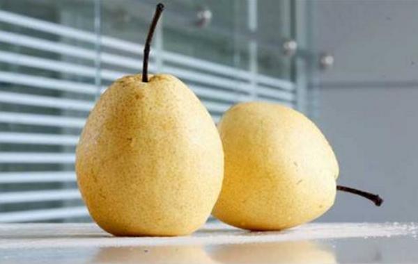 京白梨市場價格多少錢一斤 京白梨產(chǎn)地在哪里
