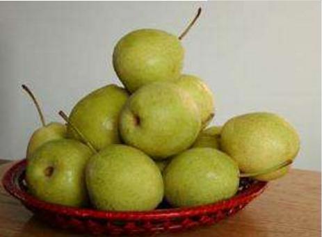什么是長把梨 長把梨怎么吃