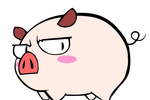 夢見豬是什么意思 女人夢見一群大黑豬有什么預兆