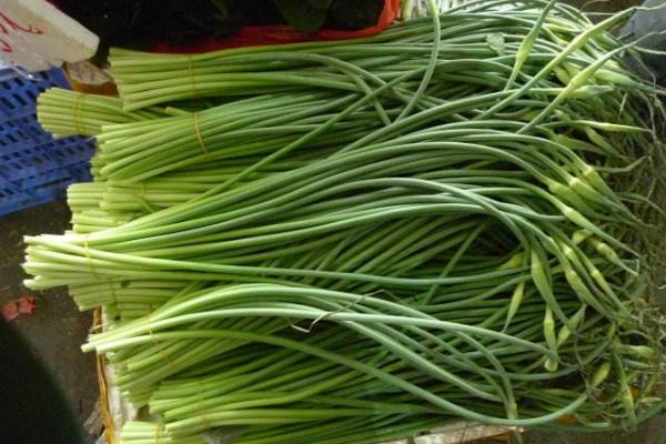 蒜苔功效與作用及禁忌