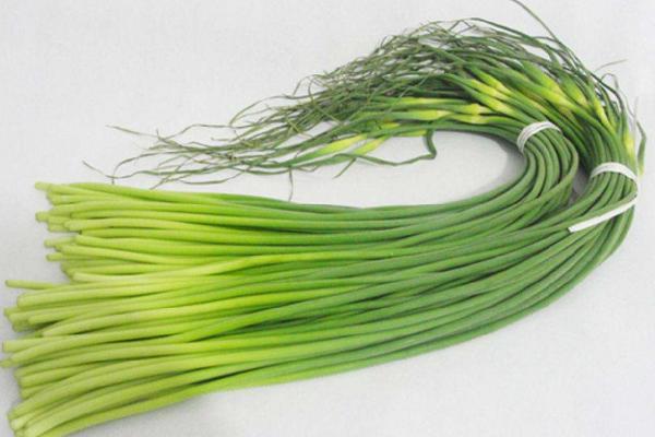  蒜苔市場價格多少錢一斤 蒜苔產地是哪里