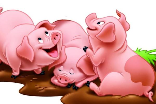 夢見豬是什么意思 女人夢見一群大黑豬有什么預兆