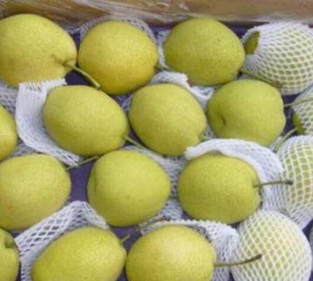 長把梨功效與作用及禁忌 長把梨營養(yǎng)價值