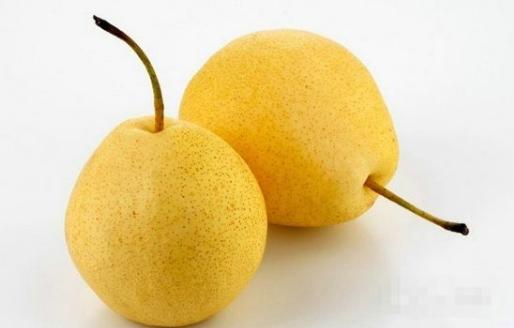 長把梨功效與作用及禁忌 長把梨營養(yǎng)價值