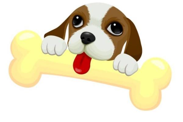 夢見大狗追著咬自己是什么意思 夢見好多狗有什么預兆