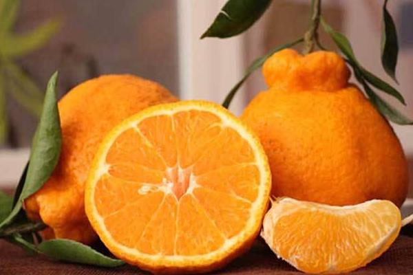 丑八怪橘子市場價格多少錢一斤  丑橘的營養成分有哪些