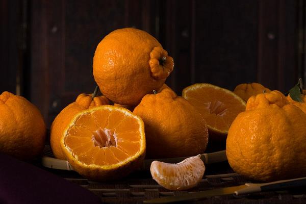 丑八怪橘子市場價格多少錢一斤 丑橘的營養成分有哪些