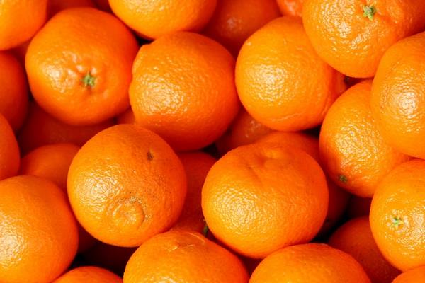 橘子和桔子的區別是什么 橘子的種類有哪些