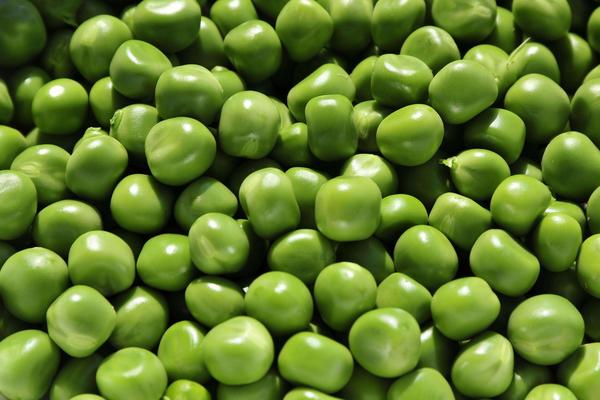 豌豆市場價格多少錢一斤 豌豆的做法