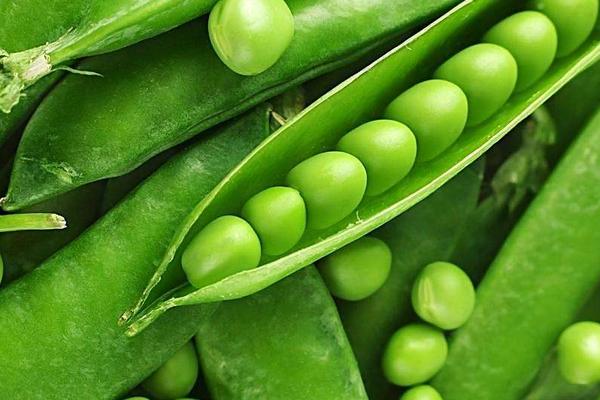豌豆市場價格多少錢一斤 豌豆的做法