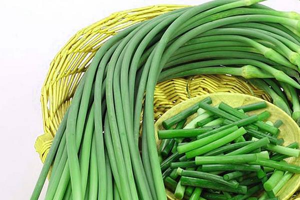 怎么種蒜苔 蒜苔種植技術與注意事項