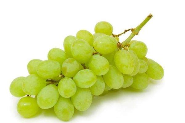 水晶葡萄功效與作用 水晶葡萄營養價值