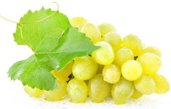 水晶葡萄功效與作用 水晶葡萄營養價值