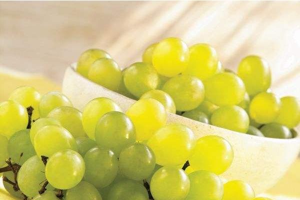 水晶葡萄功效與作用 水晶葡萄營養價值