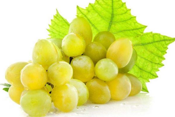 水晶葡萄功效與作用 水晶葡萄營養價值